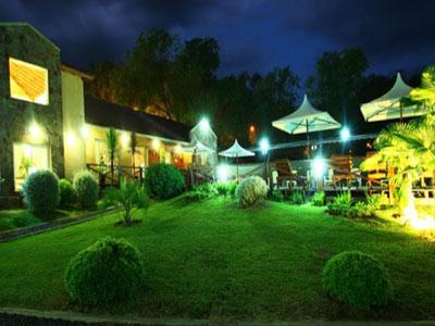 Palmeras Villa General Belgrano