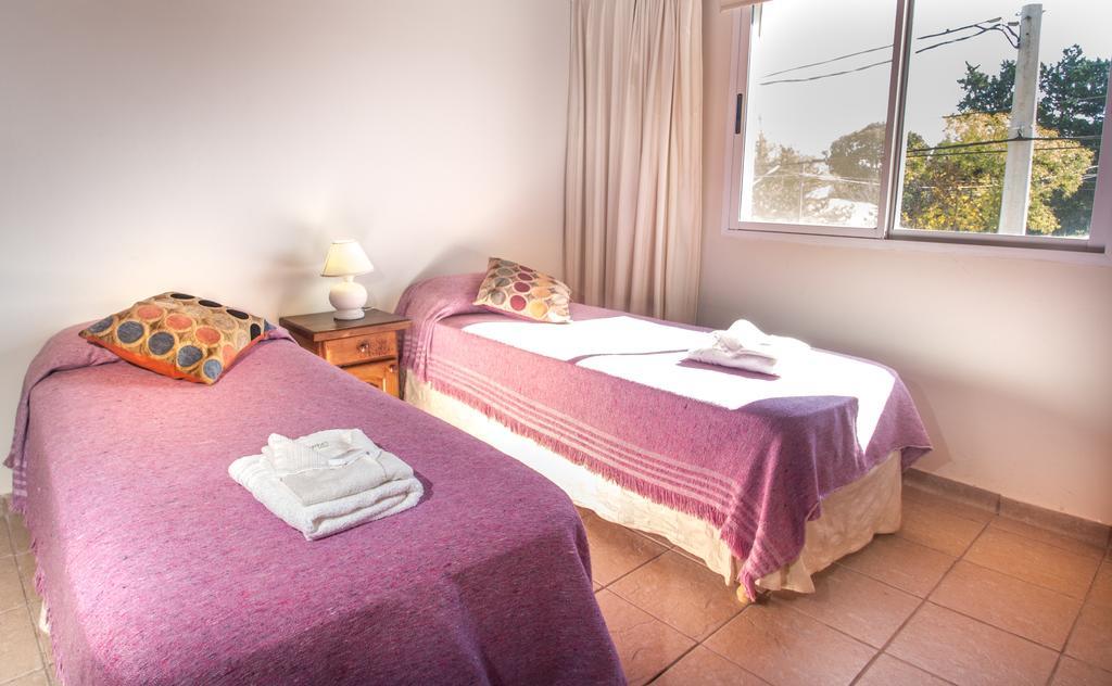 Palmeras Villa General Belgrano