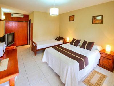 Palmeras Villa General Belgrano